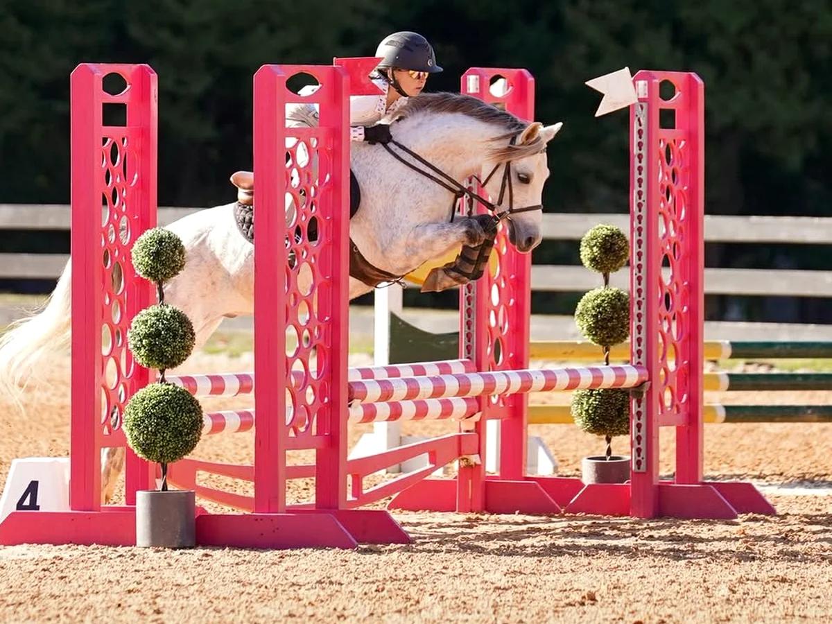 Pony and rider clearing a colorful show-jumping obstacle in an outdoor arena.