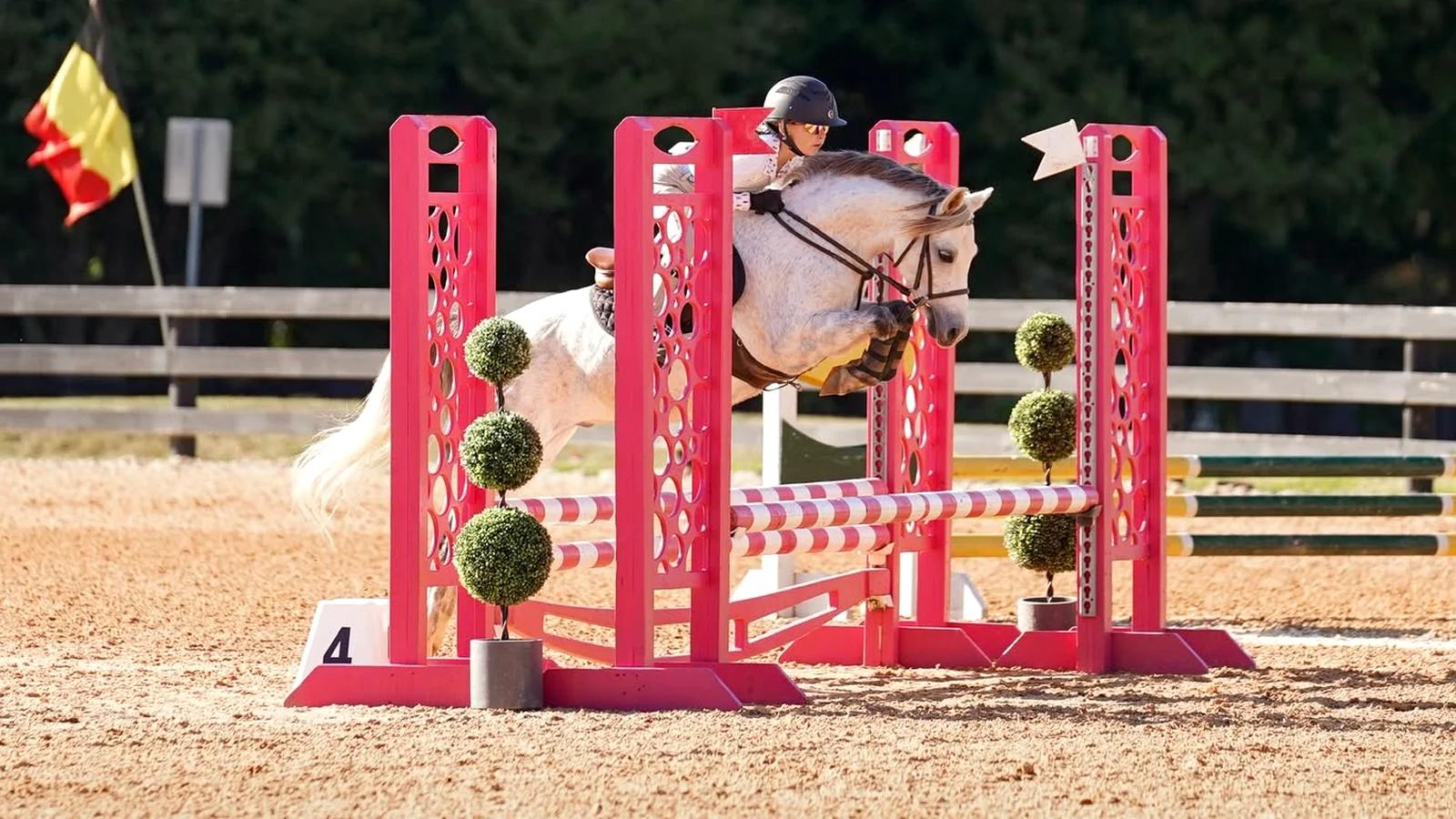 Outdoor riding arena with a colorful jump, rails, and a wooded backdrop.